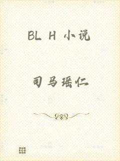 BL H 小说